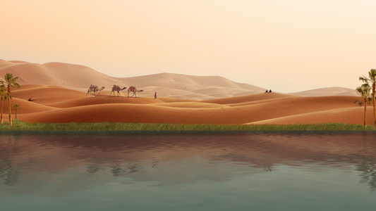 POPUP STORE ＆ online store の再開について