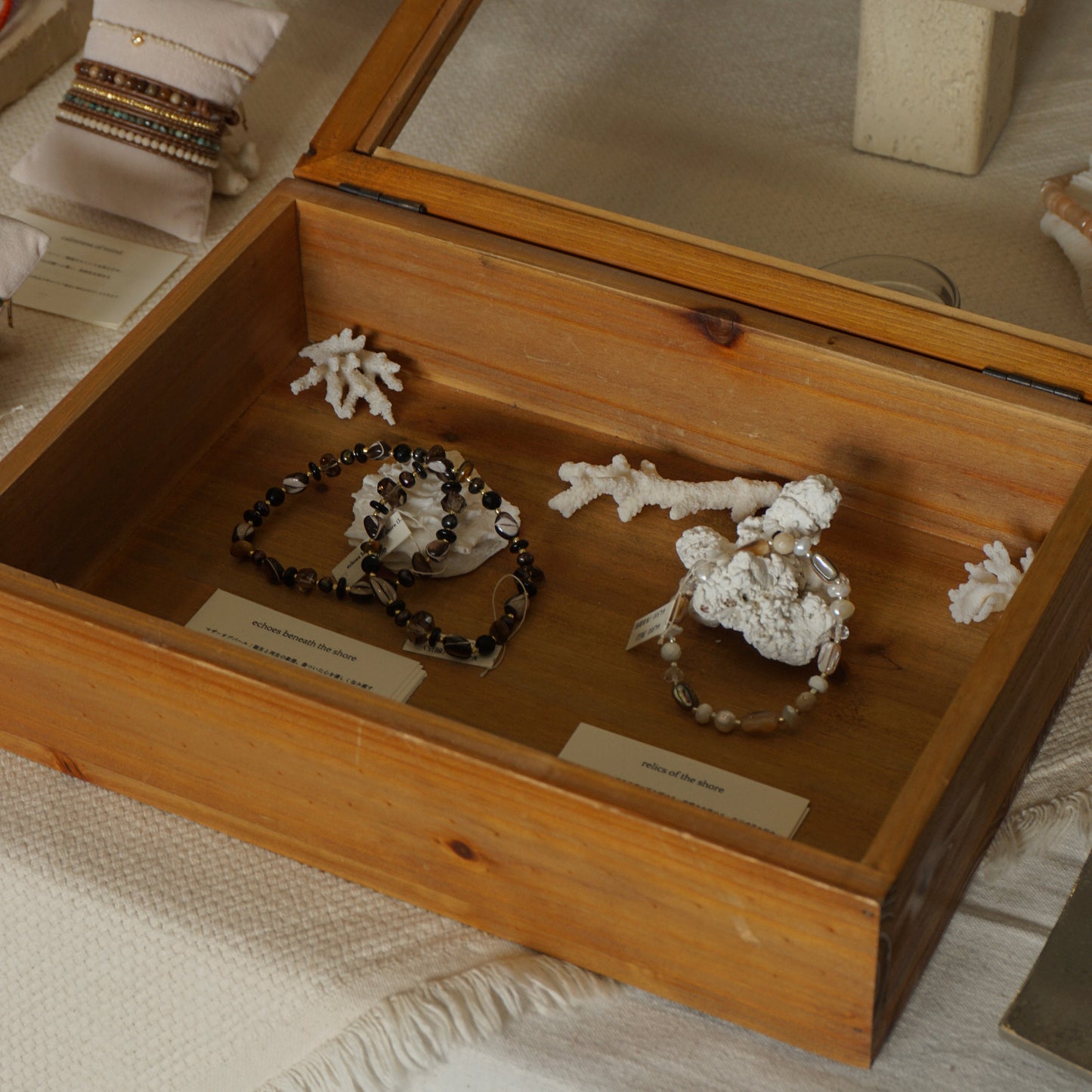 echoes beneath the shore