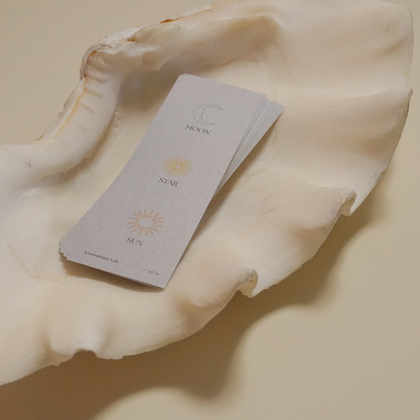 star collaborated with Aromatique Lab.